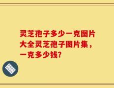 灵芝孢子多少一克图片大全灵芝孢子图片集，一克多少钱？