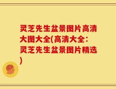 灵芝先生盆景图片高清大图大全(高清大全：灵芝先生盆景图片精选)
