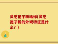 灵芝孢子粉啥样(灵芝孢子粉的外观特征是什么？)