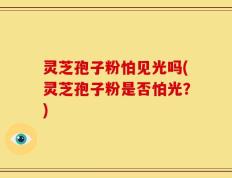 灵芝孢子粉怕见光吗(灵芝孢子粉是否怕光？)