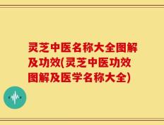 灵芝中医名称大全图解及功效(灵芝中医功效图解及医学名称大全)