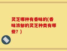 灵芝哪种有香味的(香味浓郁的灵芝种类有哪些？)