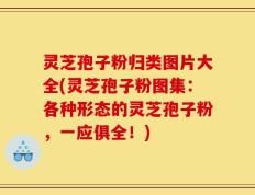 灵芝孢子粉归类图片大全(灵芝孢子粉图集：各种形态的灵芝孢子粉，一应俱全！)