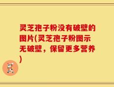 灵芝孢子粉没有破壁的图片(灵芝孢子粉图示无破壁，保留更多营养)