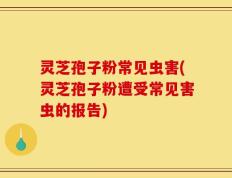 灵芝孢子粉常见虫害(灵芝孢子粉遭受常见害虫的报告)
