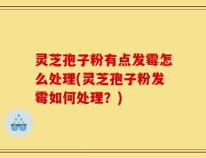 灵芝孢子粉有点发霉怎么处理(灵芝孢子粉发霉如何处理？)