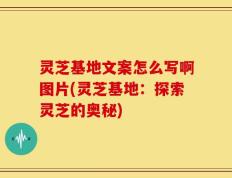 灵芝基地文案怎么写啊图片(灵芝基地：探索灵芝的奥秘)