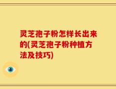 灵芝孢子粉怎样长出来的(灵芝孢子粉种植方法及技巧)