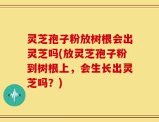 灵芝孢子粉放树根会出灵芝吗(放灵芝孢子粉到树根上，会生长出灵芝吗？)