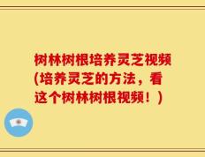 树林树根培养灵芝视频(培养灵芝的方法，看这个树林树根视频！)