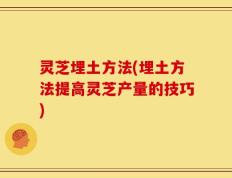 灵芝埋土方法(埋土方法提高灵芝产量的技巧)