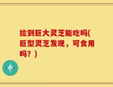 捡到巨大灵芝能吃吗(巨型灵芝发现，可食用吗？)
