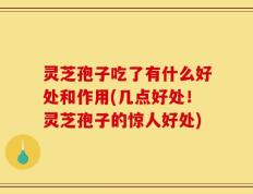 灵芝孢子吃了有什么好处和作用(几点好处！灵芝孢子的惊人好处)