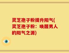 灵芝孢子粉提升阳气(灵芝孢子粉：唤醒男人的阳气之源)