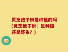 灵芝孢子粉是种植的吗(灵芝孢子粉：是种植还是野生？)