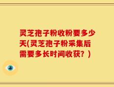 灵芝孢子粉收粉要多少天(灵芝孢子粉采集后需要多长时间收获？)