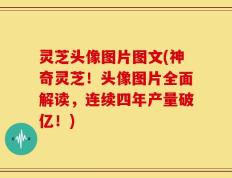 灵芝头像图片图文(神奇灵芝！头像图片全面解读，连续四年产量破亿！)