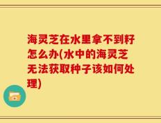 海灵芝在水里拿不到籽怎么办(水中的海灵芝无法获取种子该如何处理)