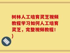 树林人工培育灵芝视频教程学习如何人工培育灵芝，完整视频教程！)