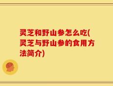 灵芝和野山参怎么吃(灵芝与野山参的食用方法简介)