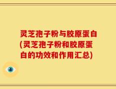 灵芝孢子粉与胶原蛋白(灵芝孢子粉和胶原蛋白的功效和作用汇总)