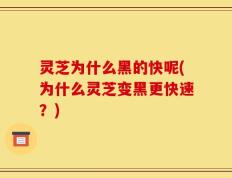 灵芝为什么黑的快呢(为什么灵芝变黑更快速？)
