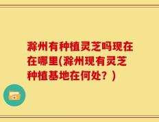 滁州有种植灵芝吗现在在哪里(滁州现有灵芝种植基地在何处？)