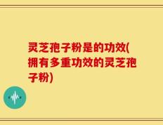 灵芝孢子粉是的功效(拥有多重功效的灵芝孢子粉)