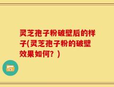 灵芝孢子粉破壁后的样子(灵芝孢子粉的破壁效果如何？)