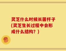 灵芝什么时候长菌杆子(灵芝生长过程中会形成什么结构？)