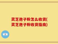 灵芝孢子粉怎么收货(灵芝孢子粉收货指南)