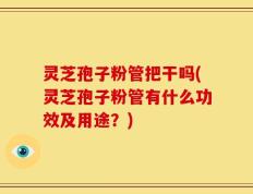灵芝孢子粉管把干吗(灵芝孢子粉管有什么功效及用途？)