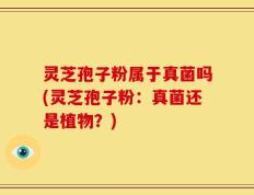 灵芝孢子粉属于真菌吗(灵芝孢子粉：真菌还是植物？)