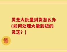 灵芝大批量到货怎么办(如何处理大量到货的灵芝？)