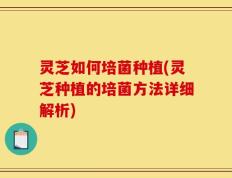 灵芝如何培菌种植(灵芝种植的培菌方法详细解析)