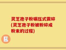灵芝孢子粉碾压式震碎(灵芝孢子粉被粉碎成粉末的过程)