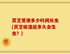 灵芝受潮多少时间长虫(灵芝吸湿后多久会生虫？)