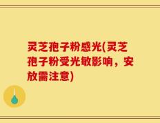 灵芝孢子粉感光(灵芝孢子粉受光敏影响，安放需注意)