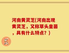 河南黄灵芝(河南出现黄灵芝，又称草头皇菌，具有什么特点？)