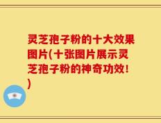 灵芝孢子粉的十大效果图片(十张图片展示灵芝孢子粉的神奇功效！)