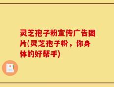 灵芝孢子粉宣传广告图片(灵芝孢子粉，你身体的好帮手)