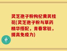 灵芝孢子粉枸杞黄芪桂花(灵芝孢子粉与草药精华搭配，青春常驻，提高免疫力)