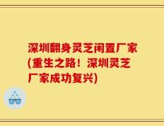 深圳翻身灵芝闲置厂家(重生之路！深圳灵芝厂家成功复兴)