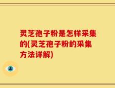 灵芝孢子粉是怎样采集的(灵芝孢子粉的采集方法详解)