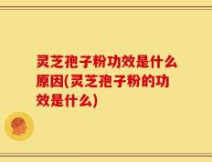 灵芝孢子粉功效是什么原因(灵芝孢子粉的功效是什么)