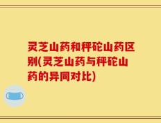 灵芝山药和秤砣山药区别(灵芝山药与秤砣山药的异同对比)