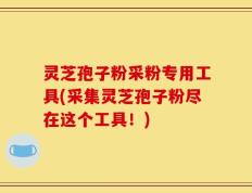 灵芝孢子粉采粉专用工具(采集灵芝孢子粉尽在这个工具！)