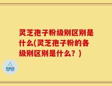 灵芝孢子粉级别区别是什么(灵芝孢子粉的各级别区别是什么？)