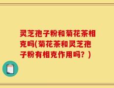 灵芝孢子粉和菊花茶相克吗(菊花茶和灵芝孢子粉有相克作用吗？)