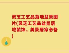 灵芝工艺品落地盆景图片(灵芝工艺品盆景落地装饰，美景居家必备)